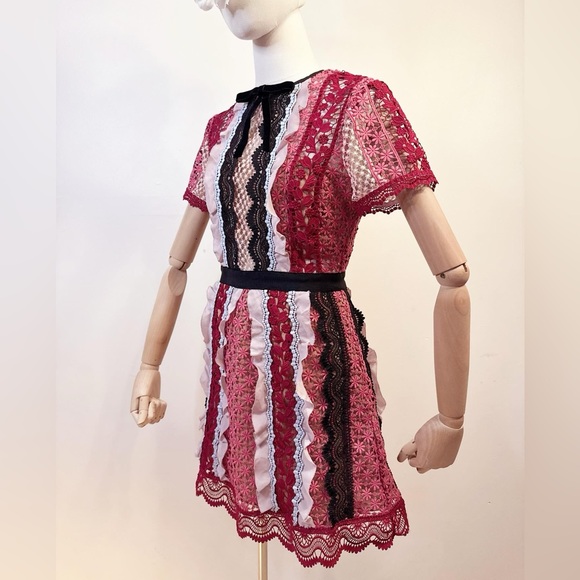 Self-Portrait Panelled Bellis Lace Trim Mini Dress (100% Authentic) - Picture 9 of 16